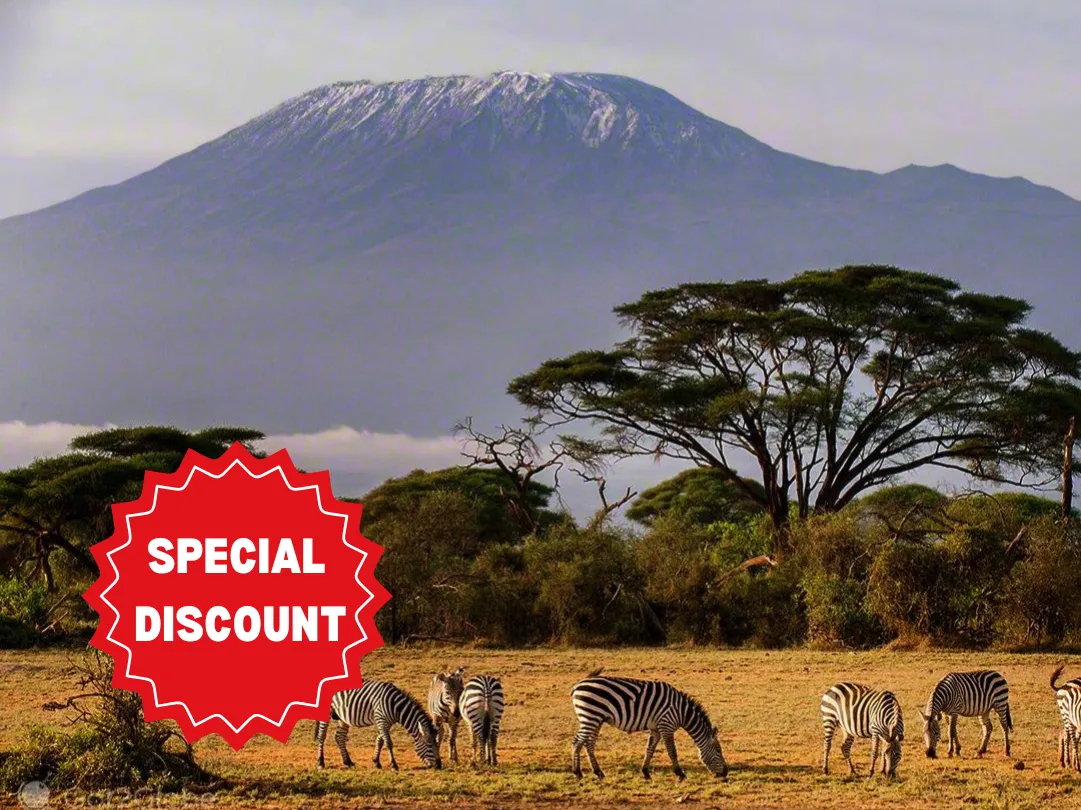 best-kilimanjaro-climbing-packages