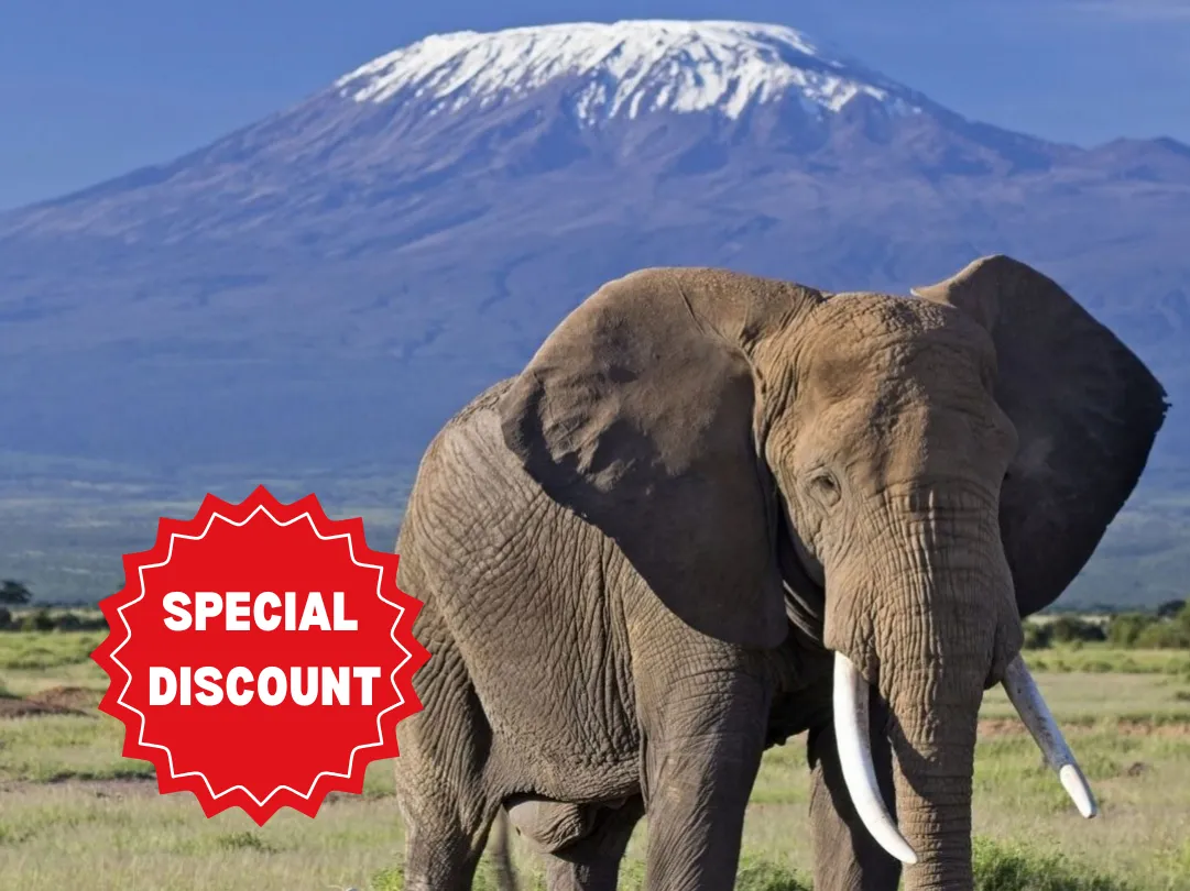 best-kilimanjaro-climbing-packages
