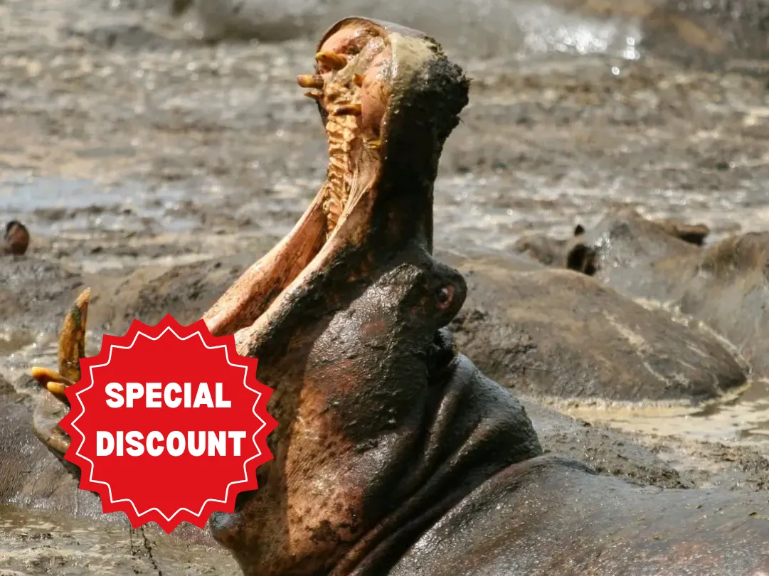 private-safari-packages-tanzania