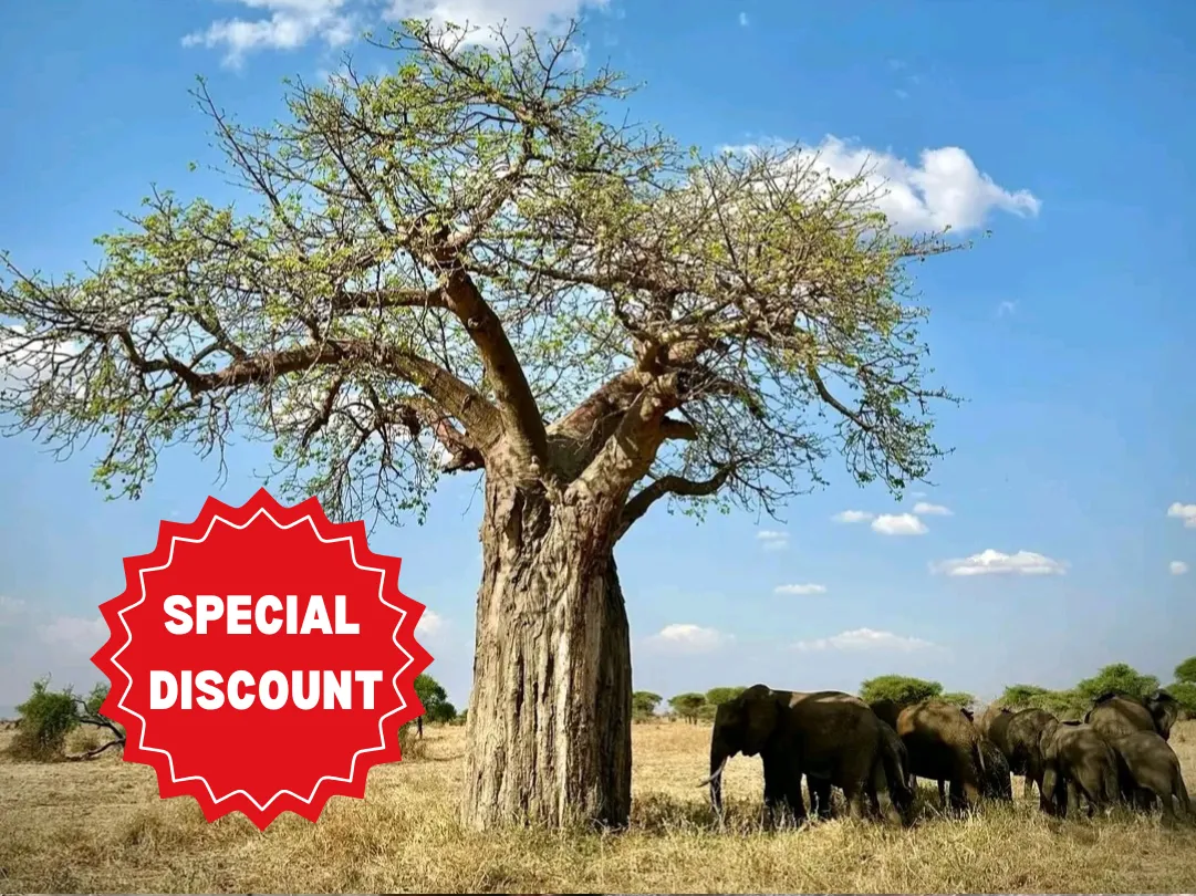 private-safari-packages-tanzania