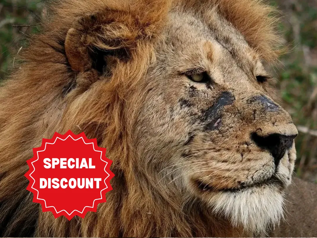private-safari-packages-tanzania