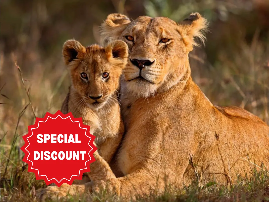 private-safari-packages-tanzania