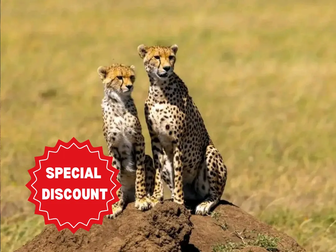 private-safari-packages-tanzania