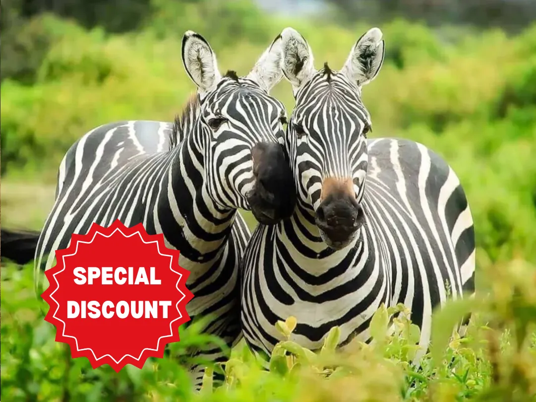 private-safari-packages-tanzania