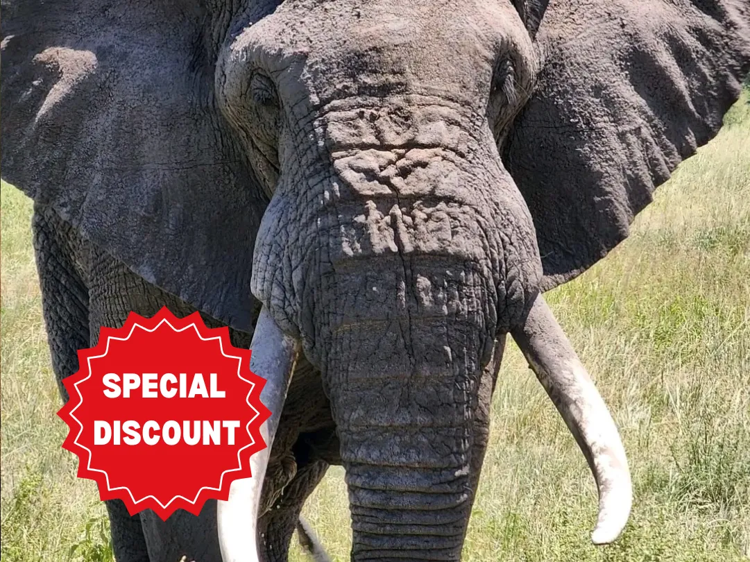 private-safari-packages-tanzania