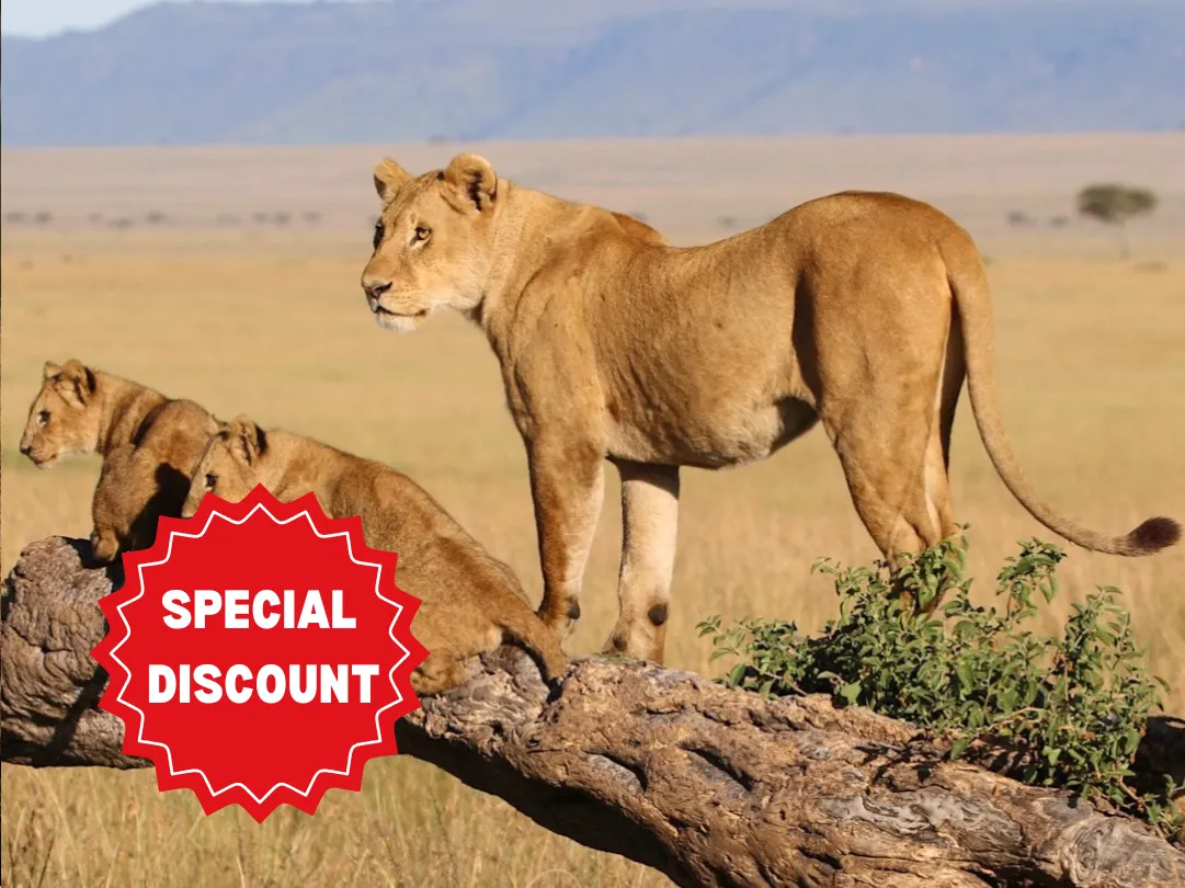 private-safari-packages-tanzania