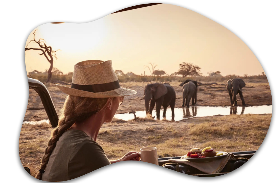 private-safari-packages-tanzania