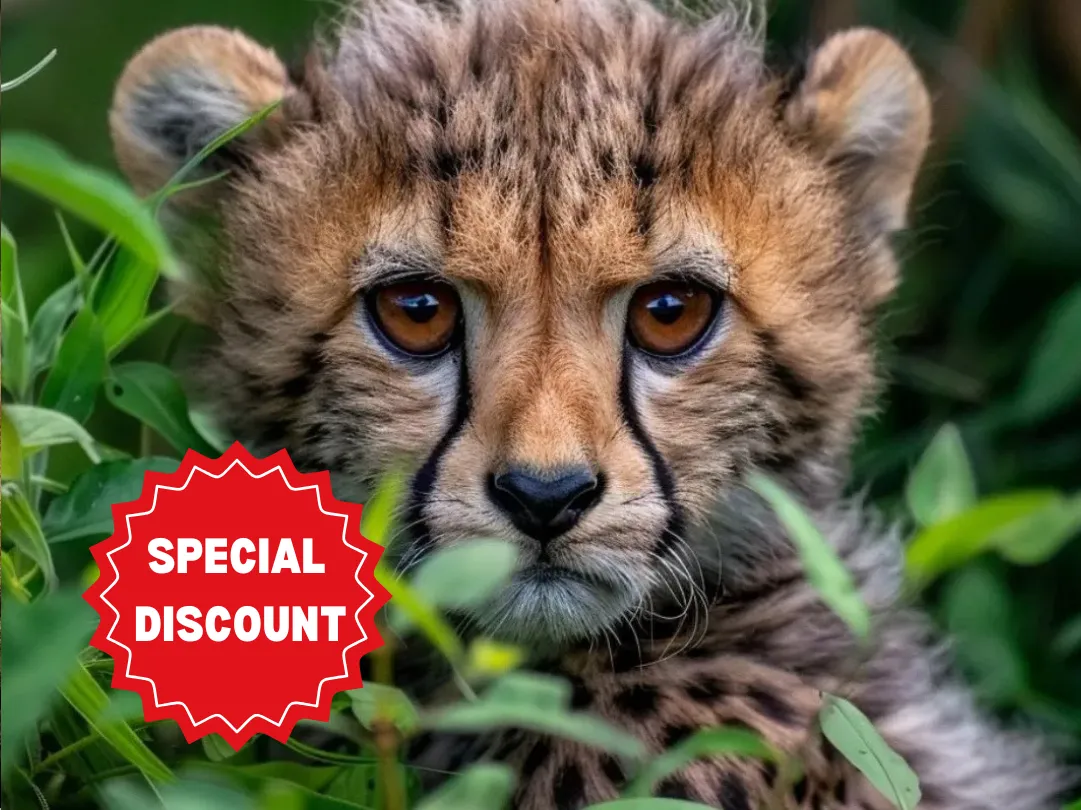 tanzania-group-safari-packages