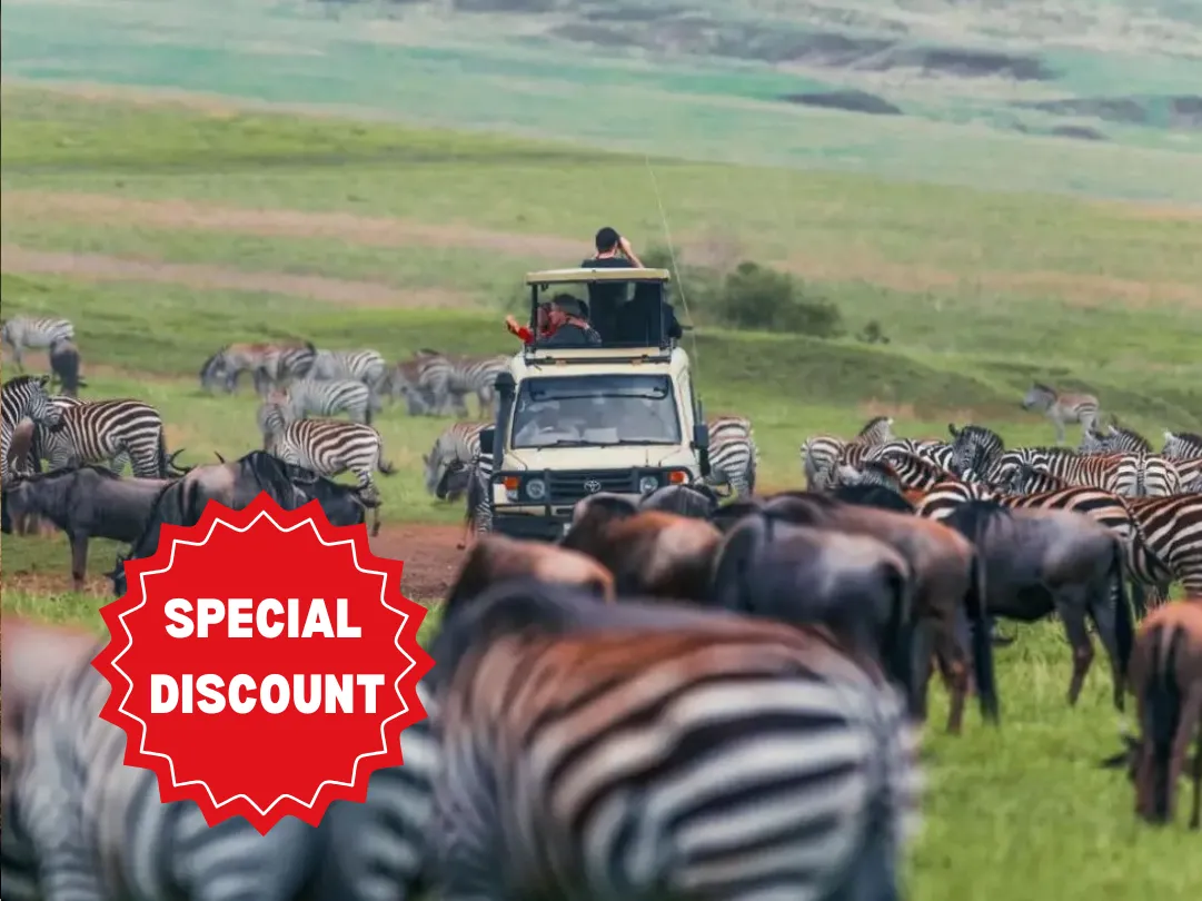 tanzania-group-safari-packages