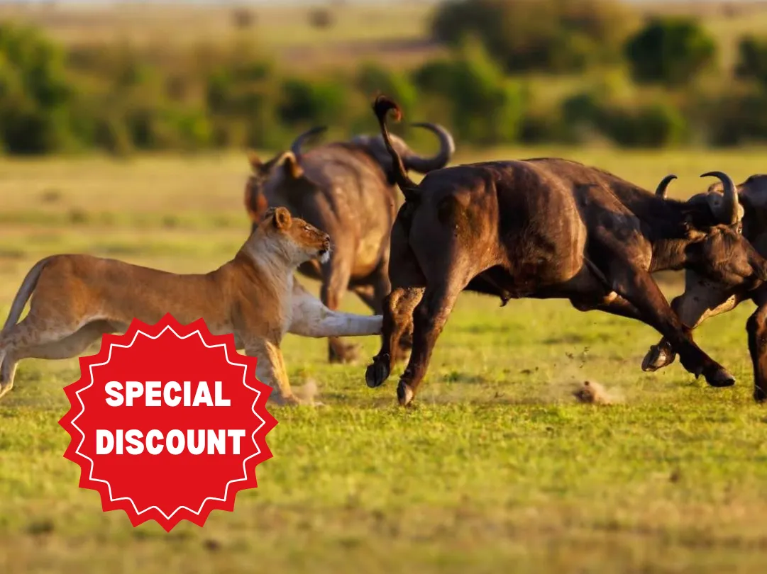 tanzania-group-safari-packages