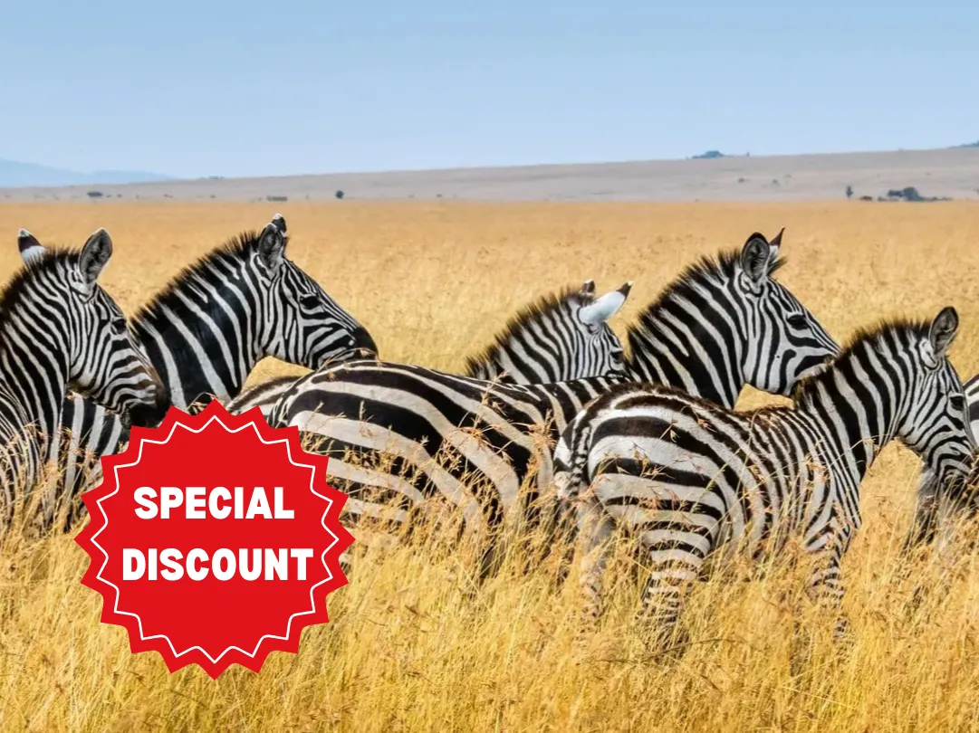 tanzania-group-safari-packages