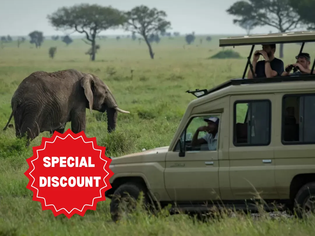 private-safari-packages-tanzania