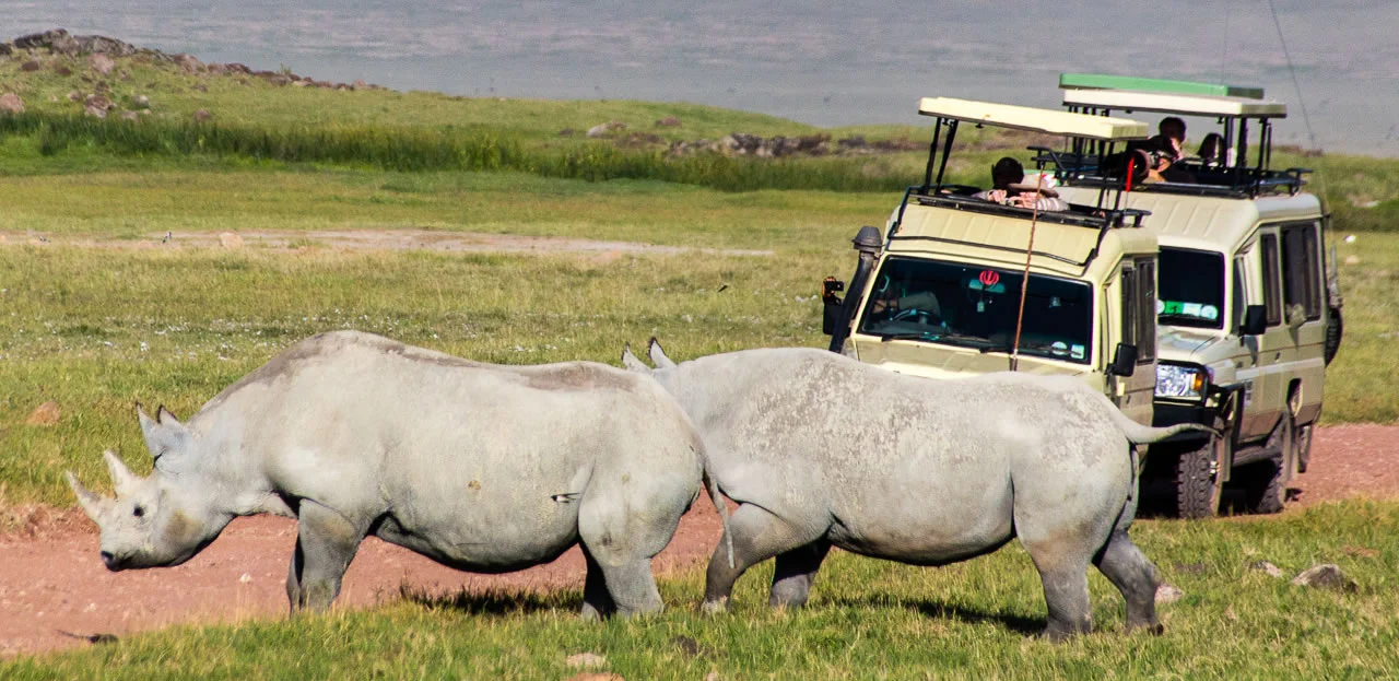 tanzania-group-safari-packages
