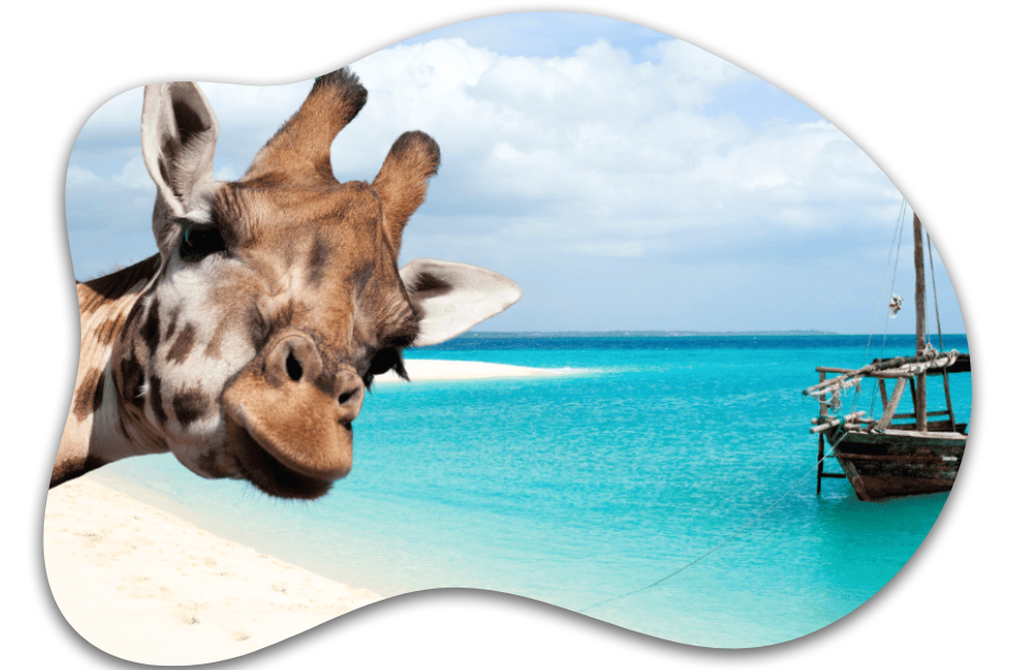 tanzania-safari