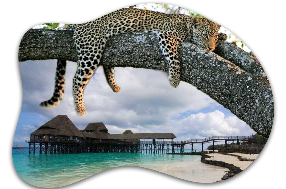 tanzania-safari